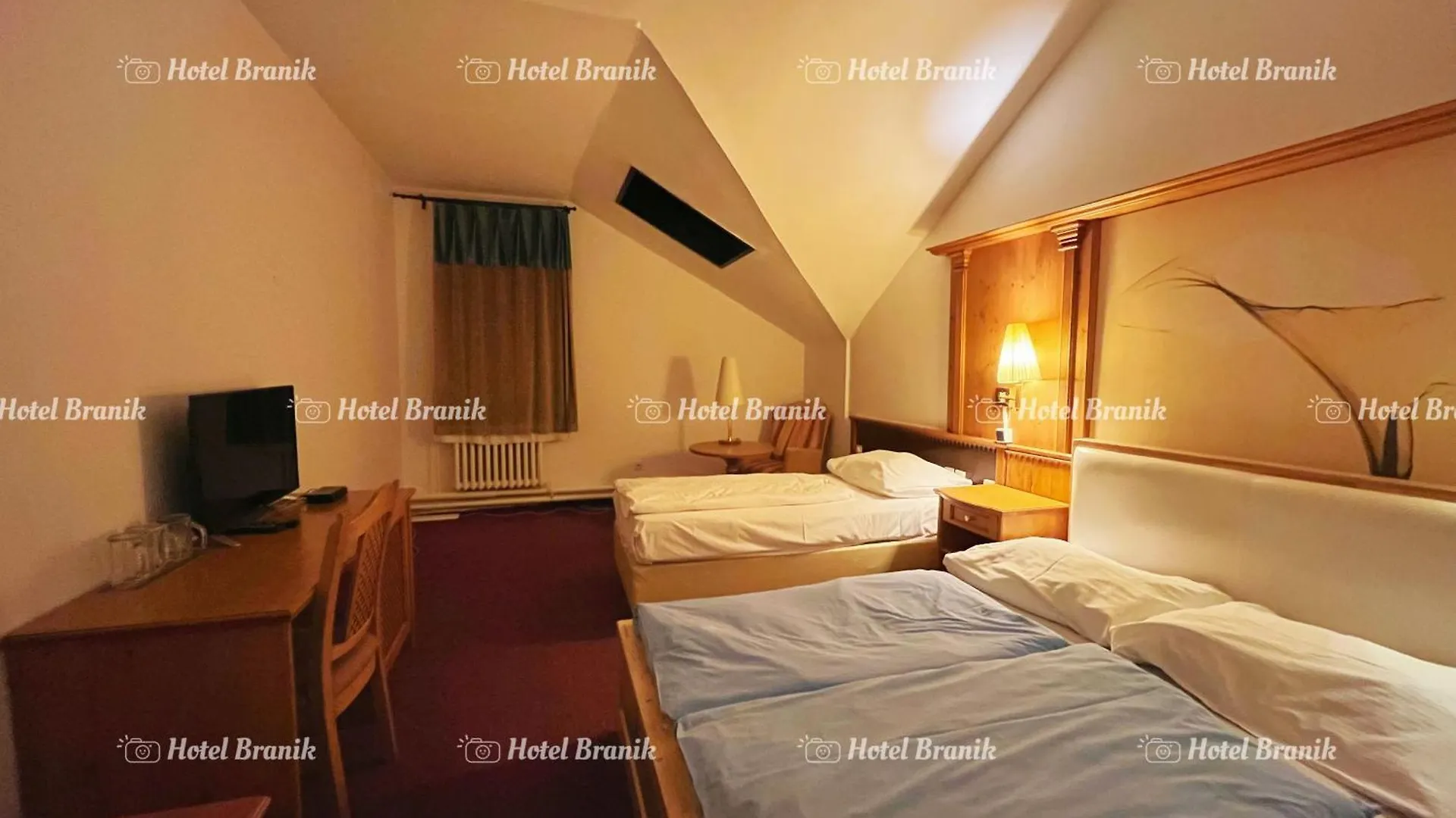 Hotel Branik Prag