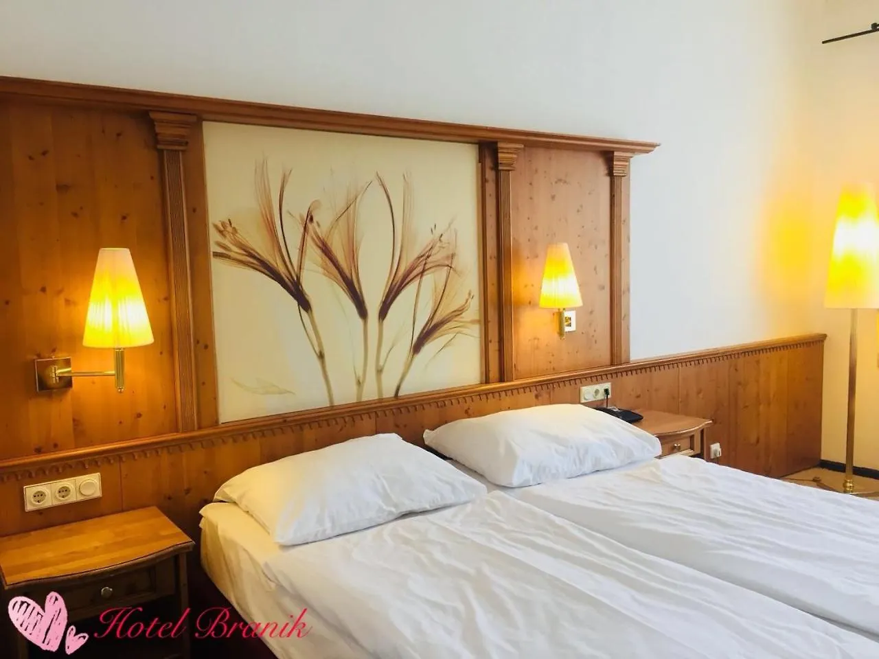 Hotel Branik Prague République tchèque