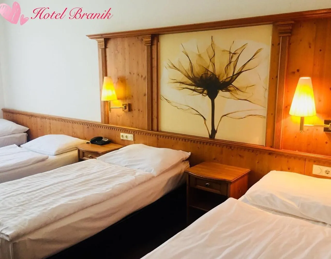 Hotel Branik Praga